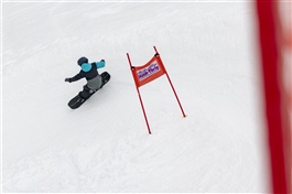 Volcom Shred Race 24
