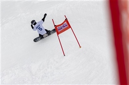 Volcom Shred Race 24