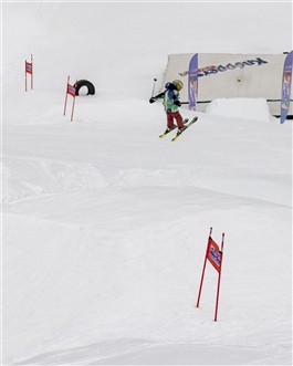 Volcom Shred Race 24